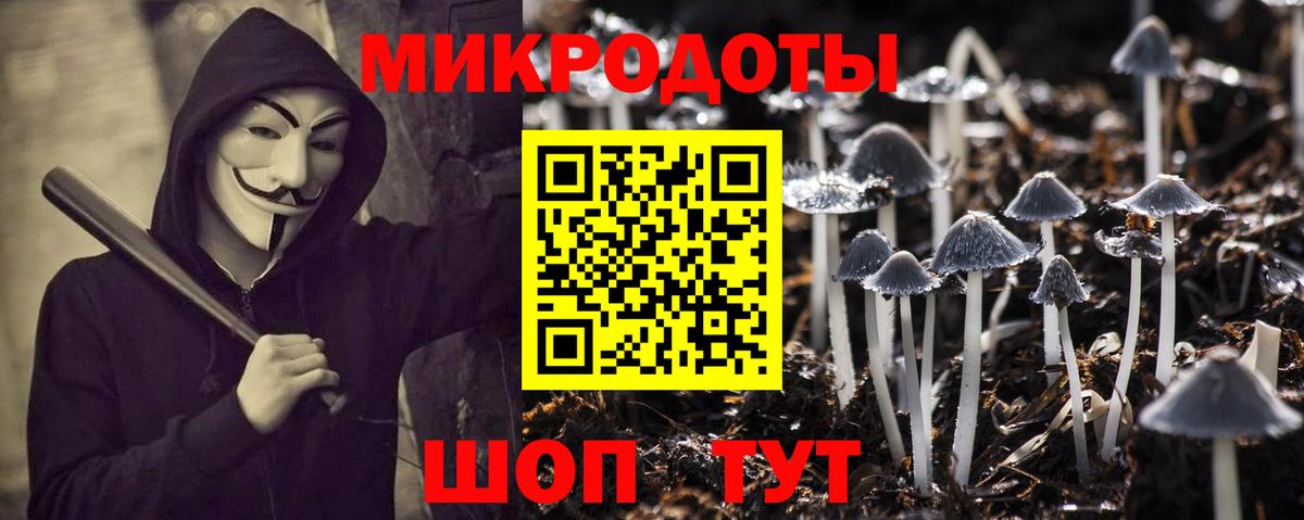 Галлюциногенные грибы Psilocybine cubensis Кольчугино